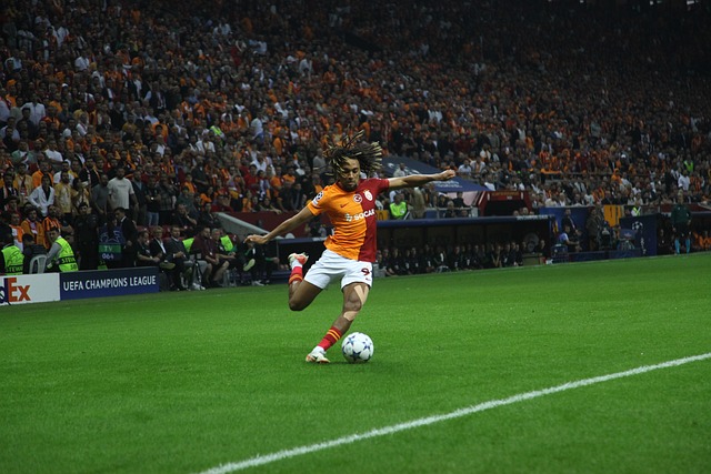 精致的故事 精致的故事