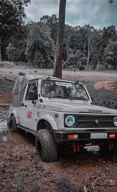 星斯蒂芬 星斯蒂芬