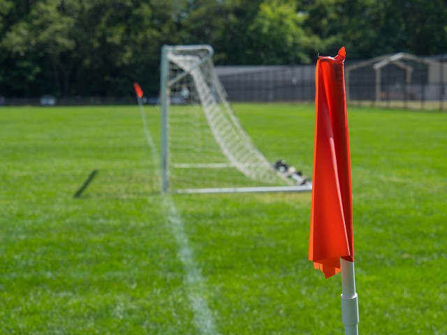 业带来新的 业带来新的