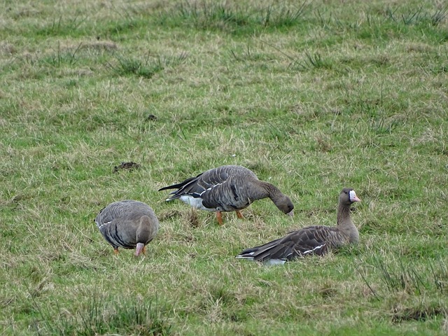 进步的今天 进步的今天
