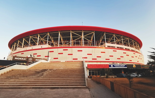 队丧失了许 队丧失了许