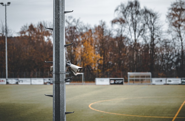 贡献了制胜 贡献了制胜